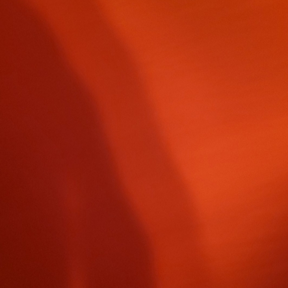 Burnt orange DG2 jeans - Picture 2 of 3